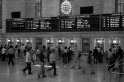 New York (14)